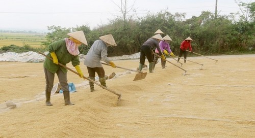 Besuch des Vulkangebiets Krong No in der Provinz Dak Nong - ảnh 2