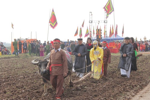 Sehenswürdigkeiten in Ha Nam - ảnh 2