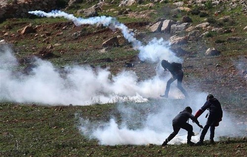 Zahlreiche europäische Länder zeigen sich tief besorgt über Spannungen zwischen Palästina und Israel - ảnh 1