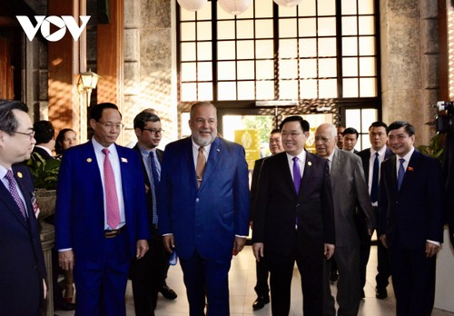 Vietnam und Kuba wollen das Handelsvolumen in der Zukunft auf 500 Millionen US-Dollar erhöhen - ảnh 1