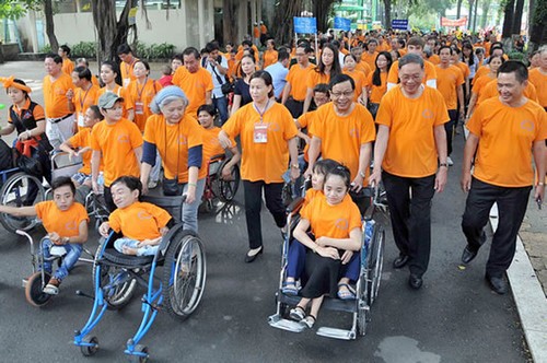 Einsatz für vietnamesische Agent-Orange-Opfer - ảnh 1