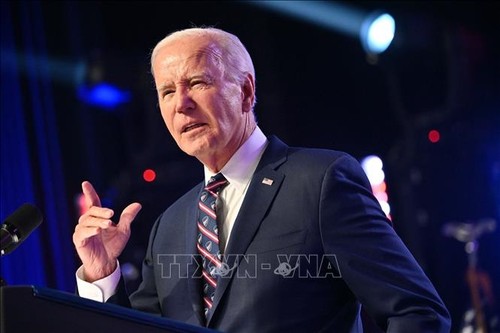 US-Vorwahlen: Biden gewinnt klar in South Carolina - ảnh 1