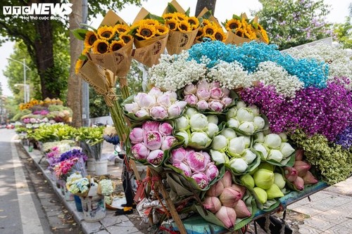 Die Schönheit der Lotusblumen in Hanoi - ảnh 1