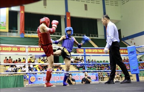 Hanoi belegt den ersten Platz im Medaillenspiegel bei der nationalen Jugend-Meisterschaft im Muay Thai 2024 - ảnh 1