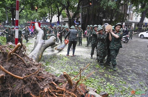 ADB wird Vietnam mit zwei Millionen US-Dollar zur Beseitigung der Folgen des Taifuns Yagi unterstützen - ảnh 1