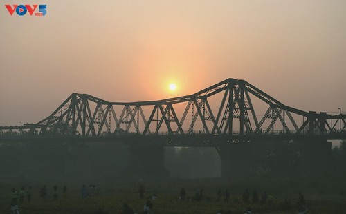 Ein wunderschöner Blumenteppich am Fuße der historischen Long-Bien-Brücke - ảnh 10