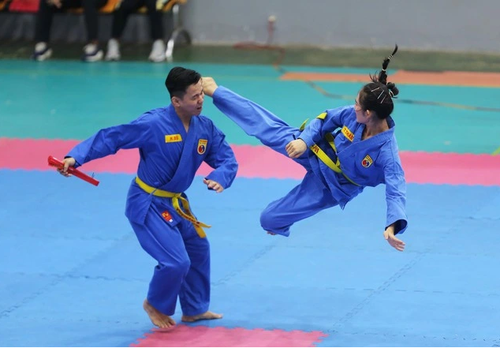 Einzigartigkeit des internationalen Kampfsportfestivals in Ho-Chi-Minh-Stadt 2024 - ảnh 1