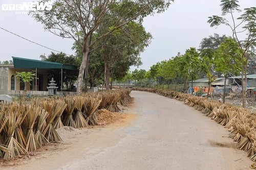 Das über 100 Jahre alte Räucherstäbchendorf in Hanoi beschäftigt sich mit der Räucherstäbchen-Produktion vor dem Neujahr - ảnh 3