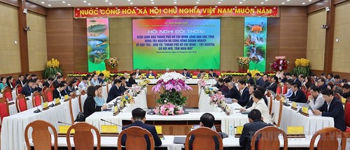 Seminar: Neue Chance und Vision für Ho-Chi-Minh-Stadt und Hochland Tay Nguyen - ảnh 1