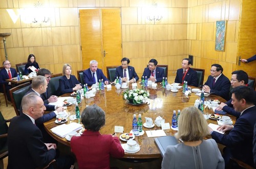 Aufwertung der Beziehungen zwischen Vietnam und Polen zur strategischen Partnerschaft - ảnh 1