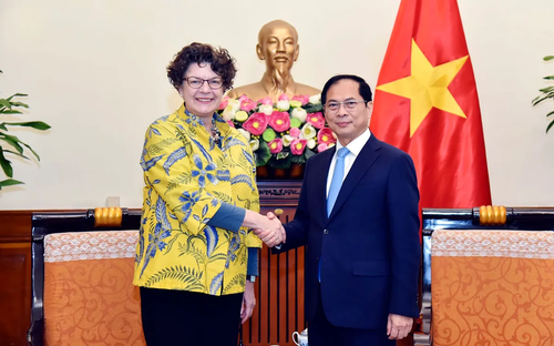 Vietnam ist ein wichtiger Partner Deutschlands in der Region - ảnh 1