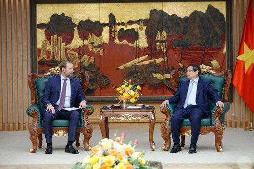 Premierminister schlägt US-Konzern Pacifico Energy Technologietransfer für Vietnam vor - ảnh 1