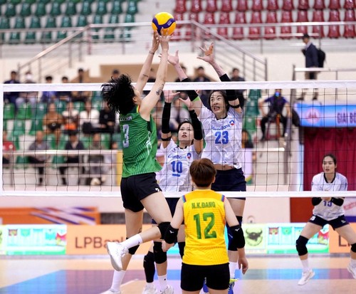 Auslosung für die Volleyball-Clubmeisterschaft Asiens - ảnh 1