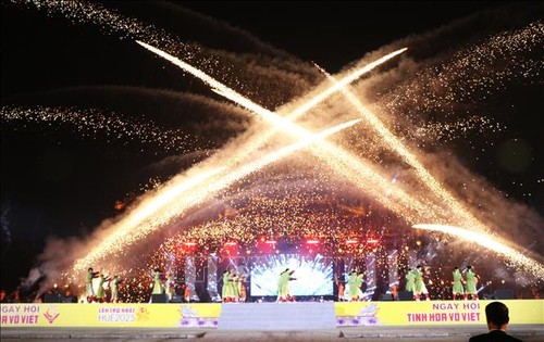 Das Fest der vietnamesischen Kampfkunst in der Kaiserstadt Hue - ảnh 1