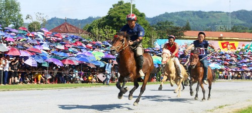 Das traditionelle Pferderennen findet im Juni auf dem Plateau Bac Ha statt - ảnh 1