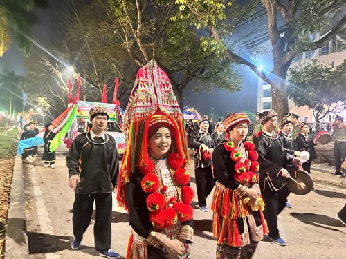 Karnevalsfest in der Provinz Bac Kan - ảnh 1