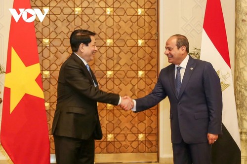 Vietnam und Ägypten werten ihre Beziehungen zu einer umfassenden Partnerschaft auf - ảnh 1