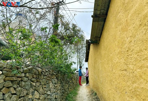 Lo Lo Chai – die bescheidene Schönheit in Nordvietnam erstrahlt weltweit - ảnh 7