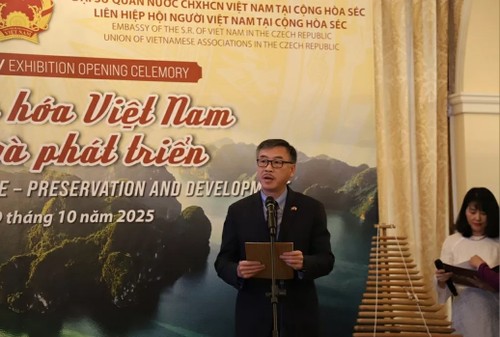 Ausstellung „Kulturerbe Vietnams – Bewahrung und Entwicklung” in Tschechien - ảnh 1