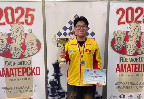 Vietnamesischer Schachspieler gewinnt Silberpokal bei der Amateur-Weltmeisterschaft 2025 - ảnh 1