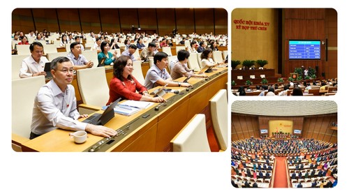 Die zehn wichtigsten von VOV ausgewählten Ereignisse in Vietnam 2025  - ảnh 3