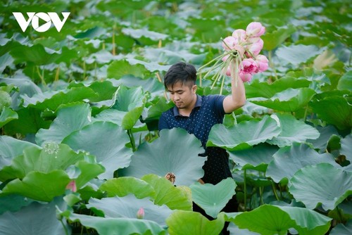 À la découverte du thé le plus cher du Vietnam - ảnh 1