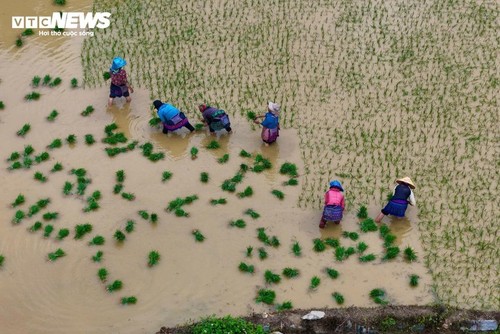 Lào Cai: quand les montagnes se parent d'eau et de lumière - ảnh 9