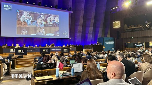 Un trésor partagé: le premier site du patrimoine mondial transfrontalier du Vietnam et du Laos - ảnh 4