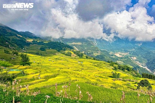 Y Tý en saison dorée: le rendez-vous magique de l’automne au nord du Vietnam - ảnh 1