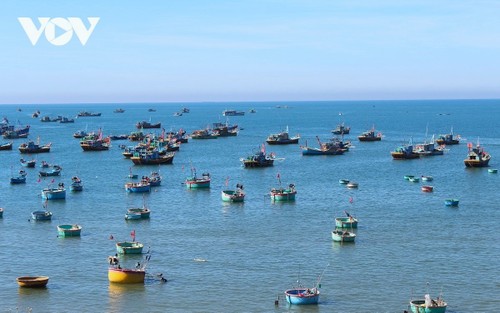 Engagement de l’armée dans la lutte contre la pêche INN, pour la défense de la souveraineté nationale et le développement durable de la pêche vietnamienne - ảnh 1