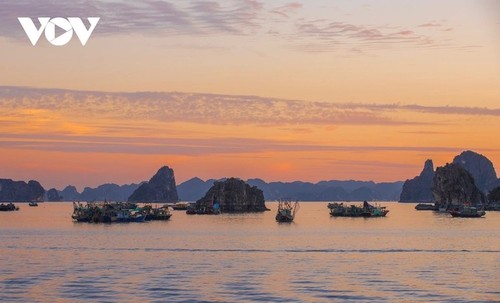 WTA 2025: le Vietnam sacré «Destination patrimoniale mondiale de premier plan» - ảnh 5