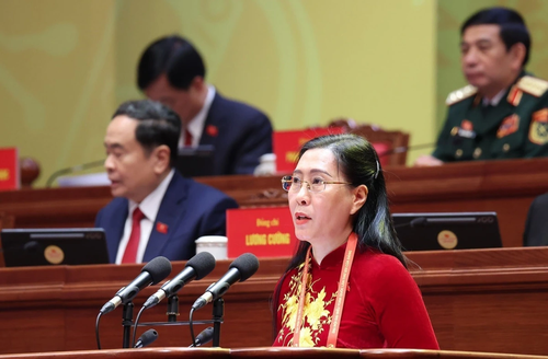 Les amis internationaux et la diaspora vietnamienne témoignent de leur soutien au XIVᵉ Congrès du Parti communiste vietnamien - ảnh 1