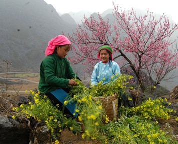 Phát huy vai trò của các dân tộc trong Dự thảo sửa đổi Hiến pháp năm 1992 - ảnh 2