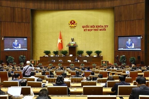 В Нацсобрании обсудили специальные механизмы для Ханоя, Хошимина и Дананга - ảnh 1