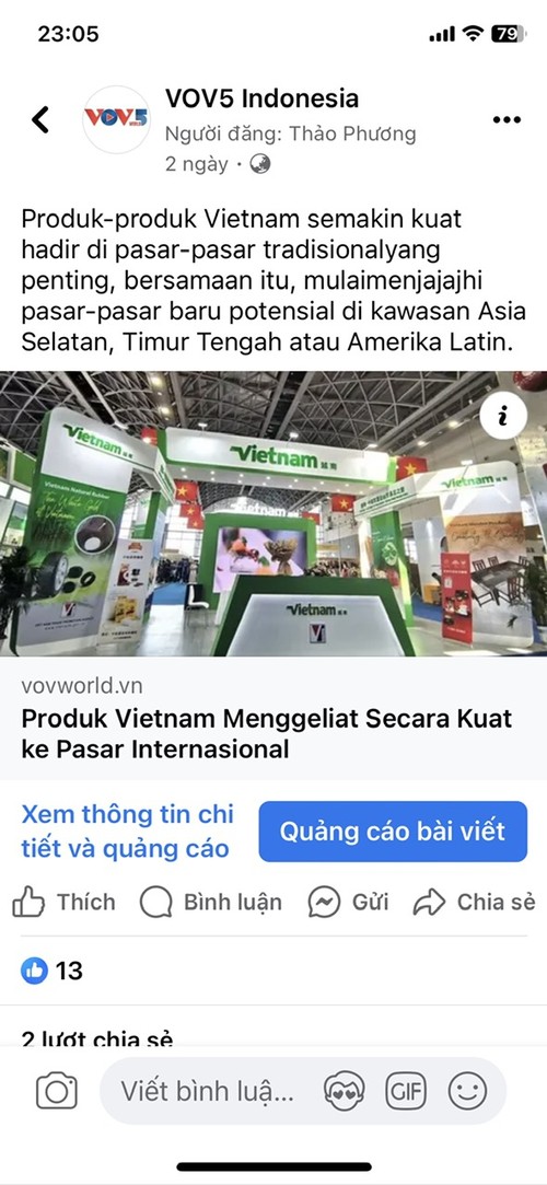 Perkenalkan Hari Perempuan Vietnam 20/10 - ảnh 1