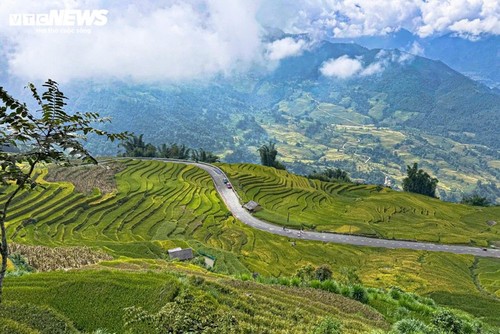 Y Ty Pada Musim Menguning - ảnh 9