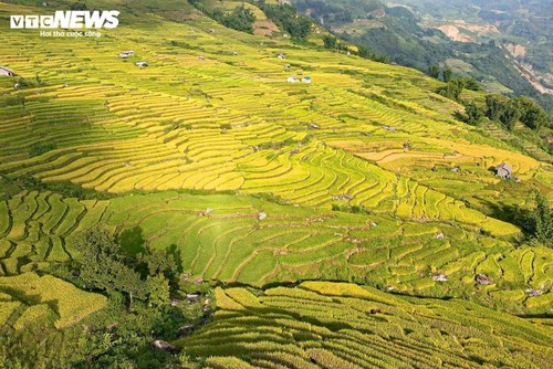 Y Ty Pada Musim Menguning - ảnh 4