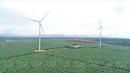 Perkenalkan Wilayah Penanaman Pisang di  Vietnam - ảnh 2