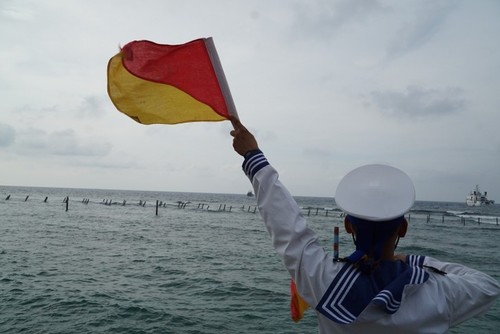 Perkenalkan Wilayah Penanaman Pisang di  Vietnam - ảnh 1