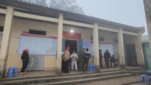 Suasana Semarak Hari Pesta Nasional di Seluruh Vietnam  - ảnh 6