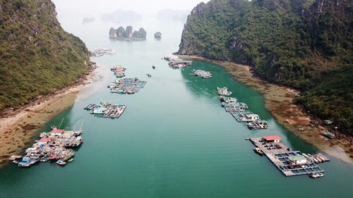 Les  nouvelles sirènes de la baie d’Halong - ảnh 1