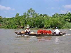 Colloque en ligne sur le développement rapide et durable du delta du Mékong  - ảnh 1