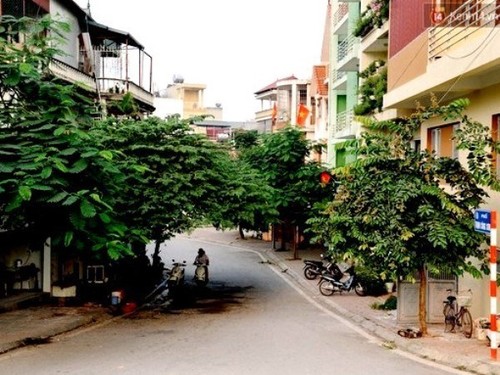 Art, cuisine space in Tay Ho district - ảnh 1