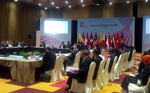 ASEAN +3 and East Asia Senior Officials' Meeting - ảnh 1