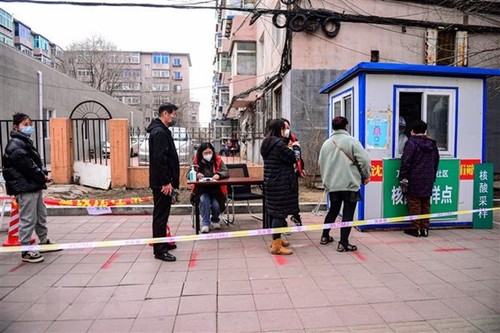 COVID-19 cases increase sharply in S.Korea, China - ảnh 1