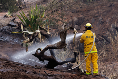 After Maui wildfires kill 93: Prayers, and a search for the missing - ảnh 1