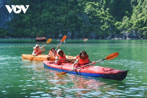 Magical beauty of the new world heritage: Ha Long Bay-Cat Ba archipelago - ảnh 8