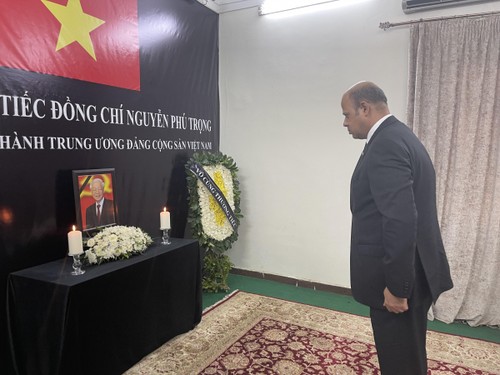 Vietnamese embassies hold respect-paying ceremony for Party leader - ảnh 2