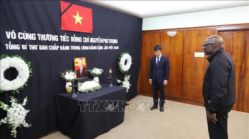 Vietnamese embassies hold respect-paying ceremony for Party leader - ảnh 3