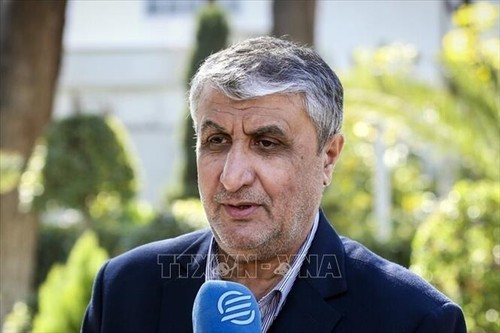 Iran's atomic chief says uranium enrichment is Tehran's red line - ảnh 1
